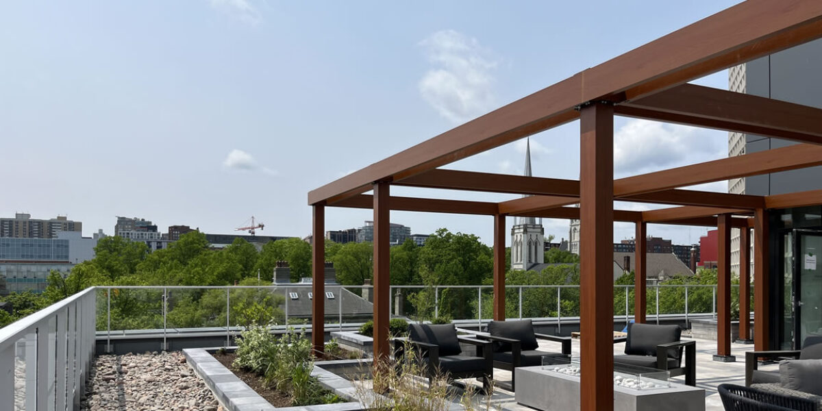 Commercial Landscaping Installation